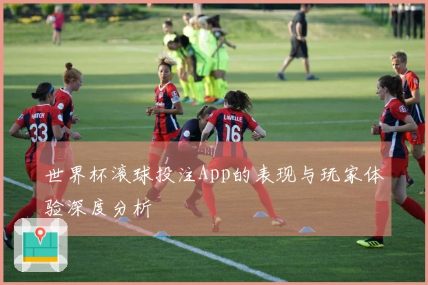世界杯滚球投注App的表现与玩家体验深度分析