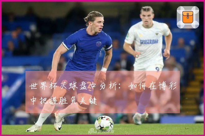 世界杯买球盘口分析：如何在博彩中把握胜负关键