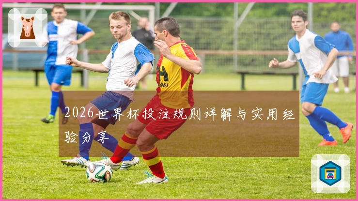 2026世界杯投注规则详解与实用经验分享