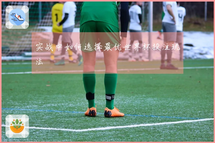 实战中如何选择最优世界杯投注玩法