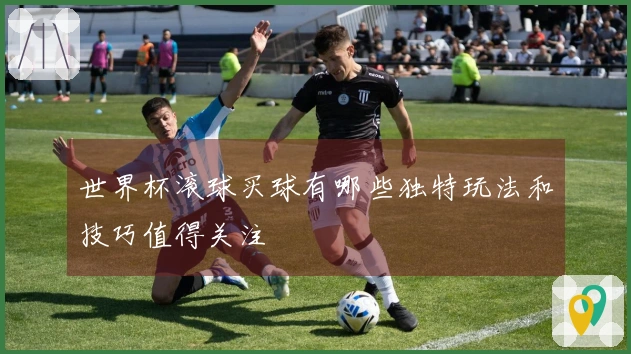 世界杯滚球买球有哪些独特玩法和技巧值得关注