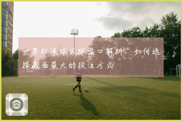 世界杯滚球买球盘口解析，如何选择赢面最大的投注方式