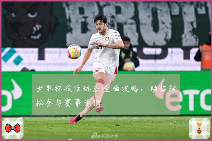 世界杯投注玩法全面攻略，助你轻松参与赛事竞猜