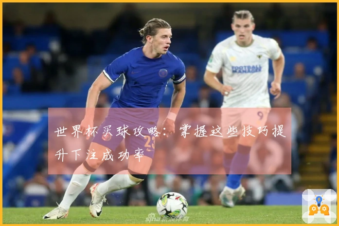 世界杯买球攻略：掌握这些技巧提升下注成功率